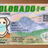 Colorado Drivers License Template New 2022 9 colorado drivers license template