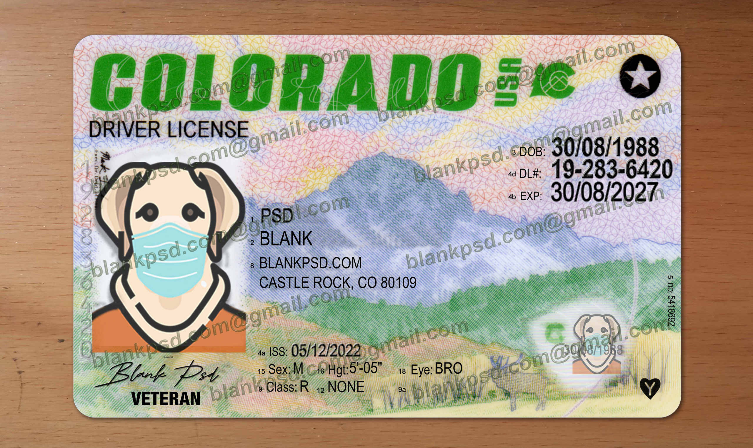 colorado drivers license template