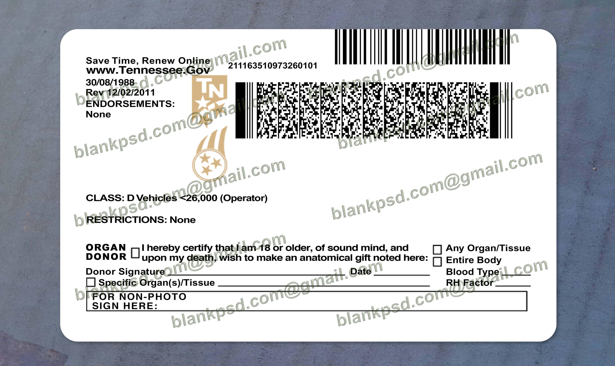 puerto rico drivers license back tennessee drivers license back