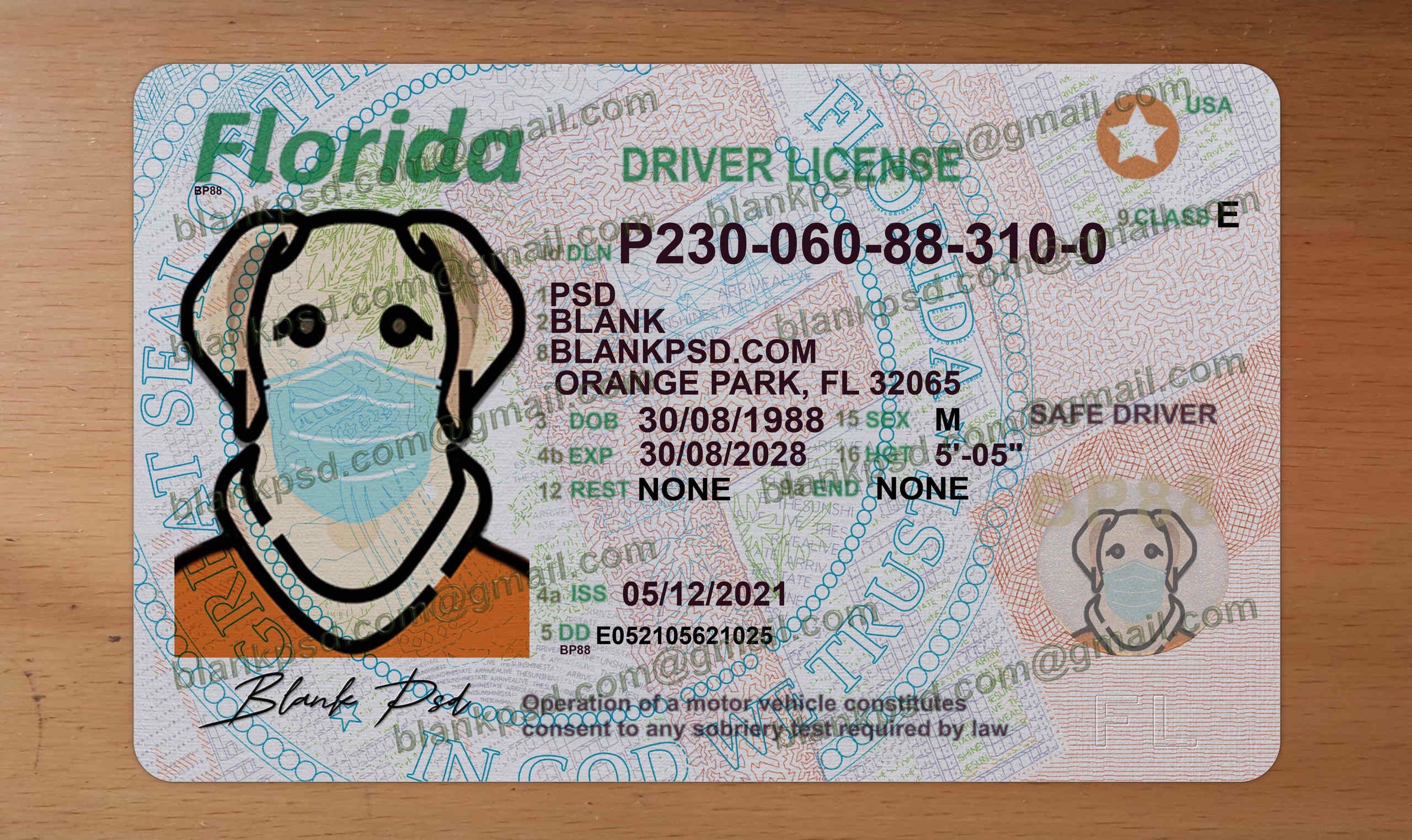 florida driver license template