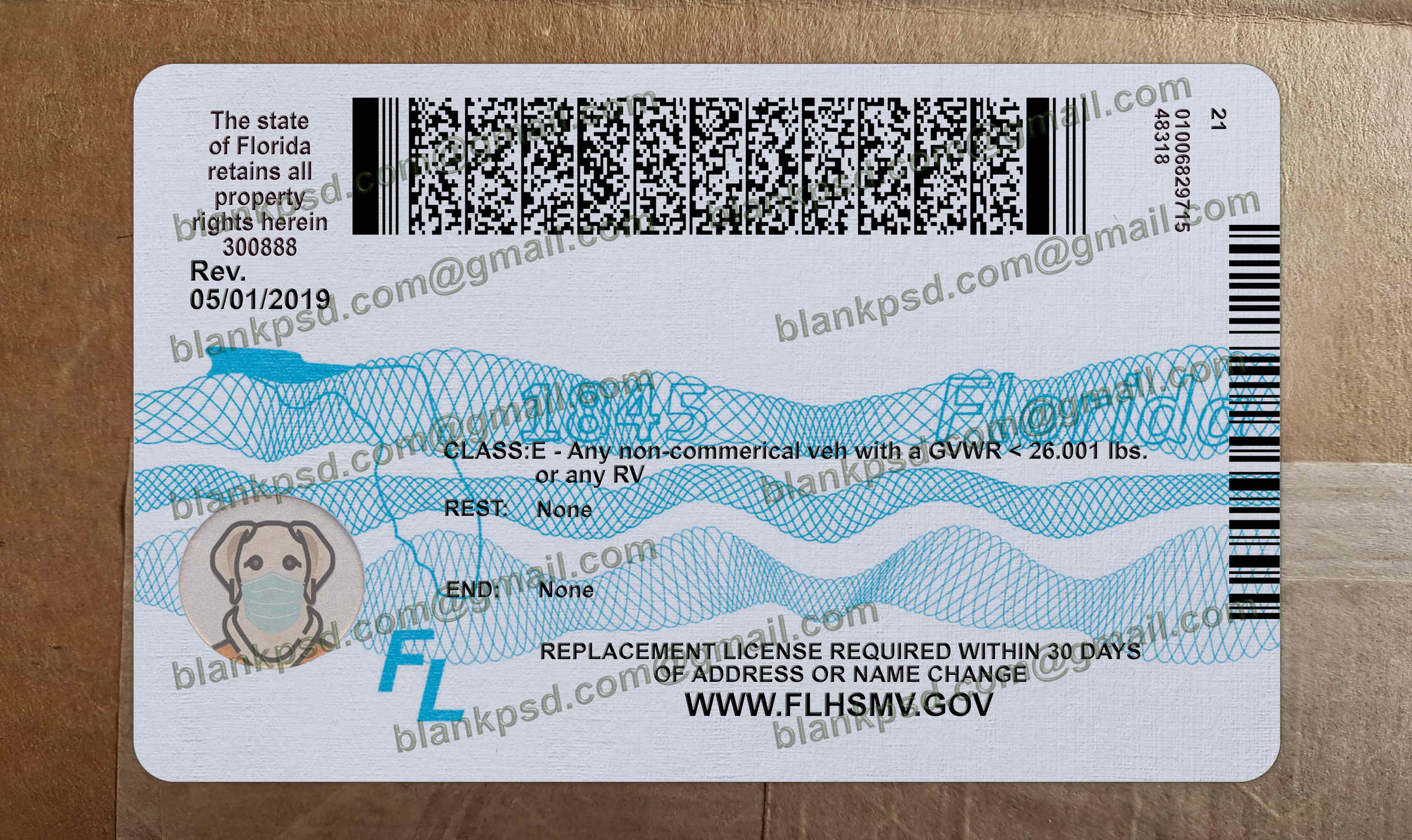 florida driver license back florida driver license back