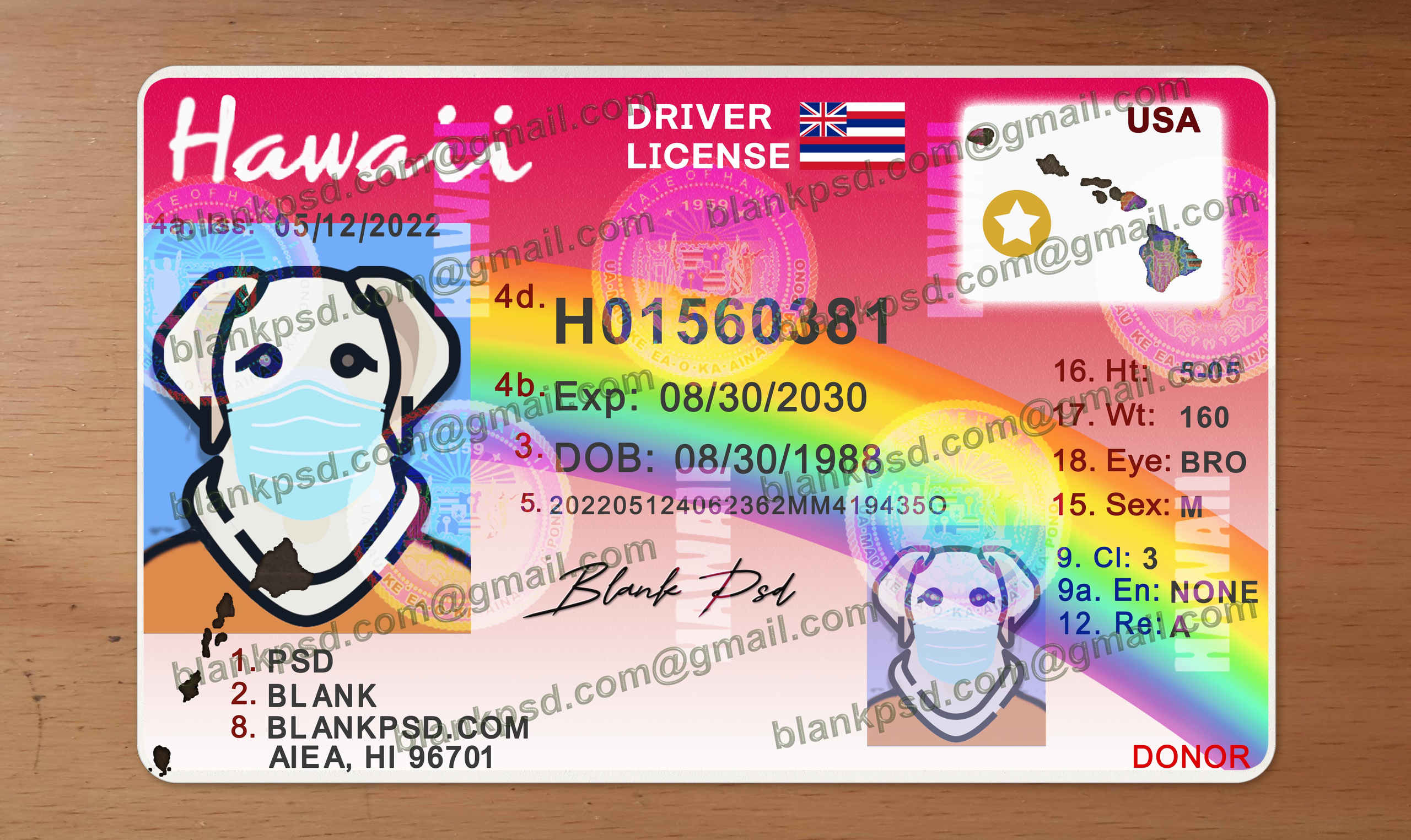 hawaii drivers license template