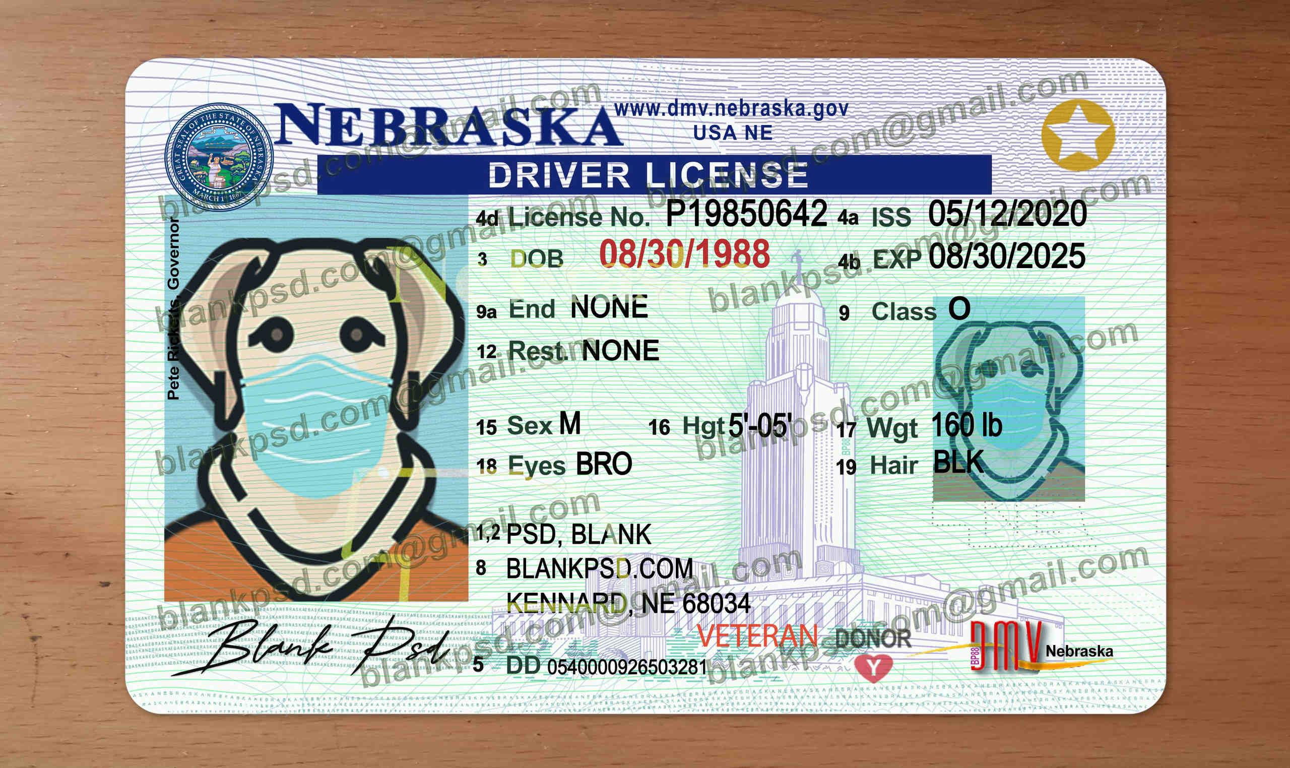 nebraska drivers license template