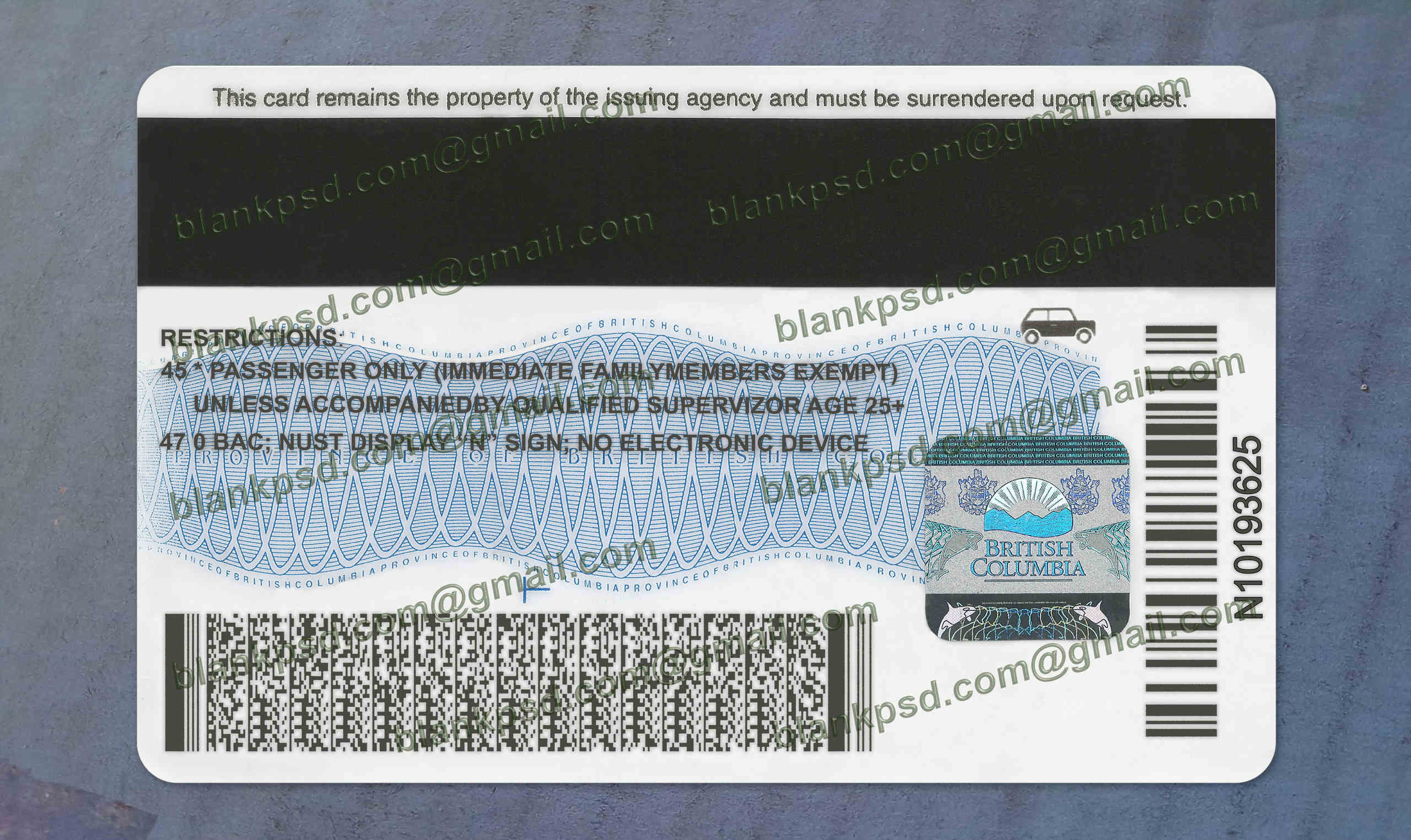 back british columbia drivers license back british columbia drivers license