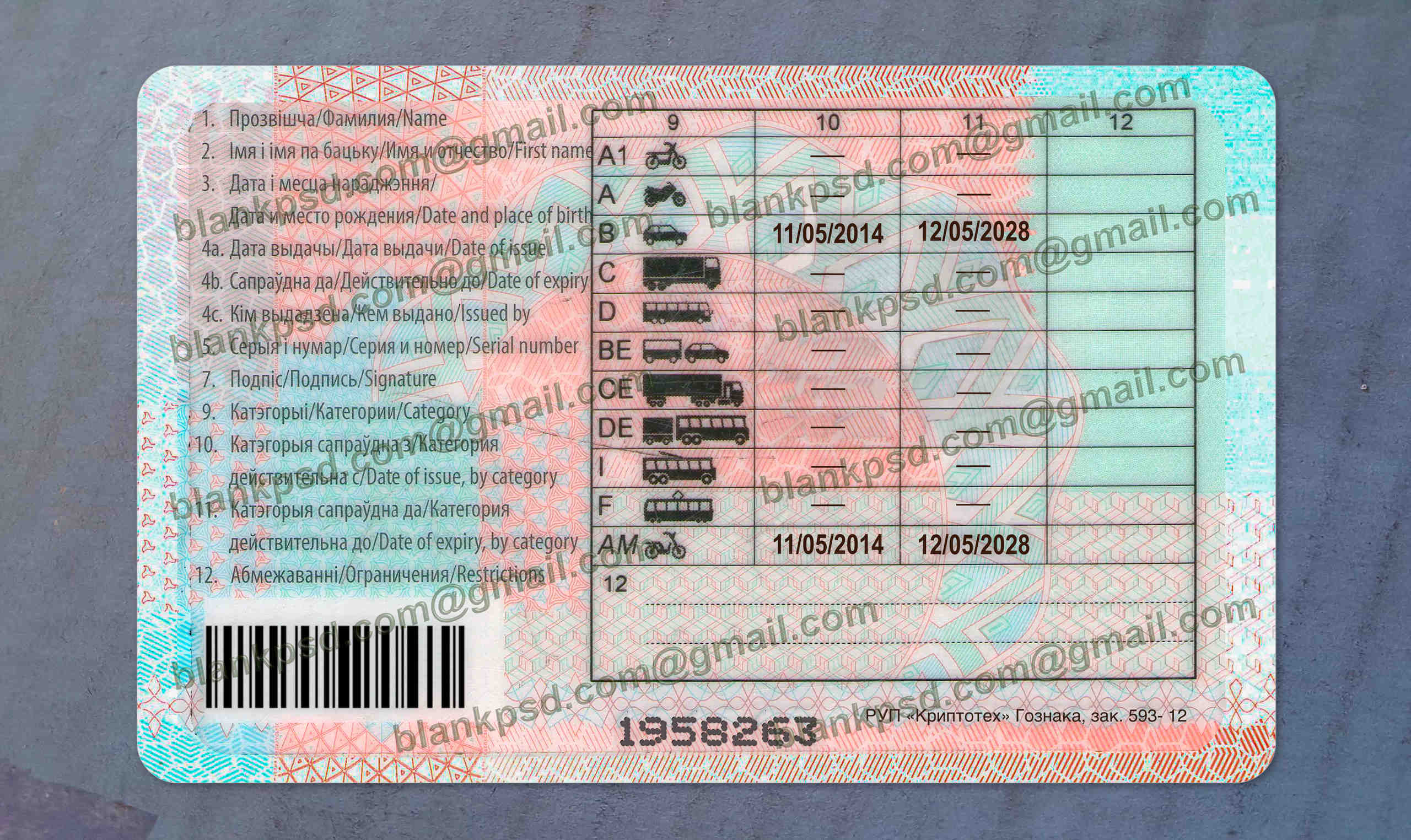 belarus driver license back belarus driver license back