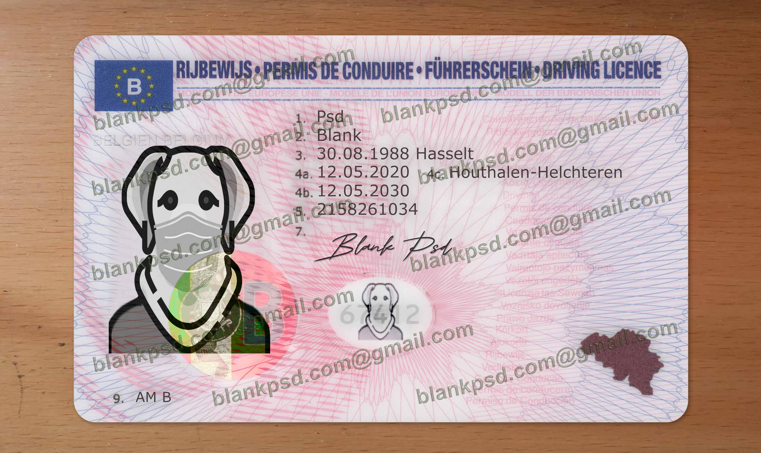 belgium drivers license template