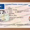 Fake Irish Driver License New V2 8 fake irish driver license