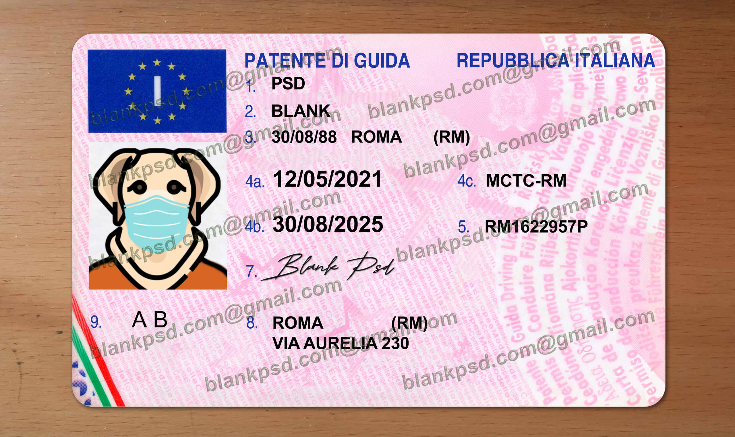 italy drivers license template