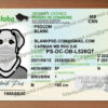 Manitoba Drivers License Template New V1 12 manitoba drivers license template