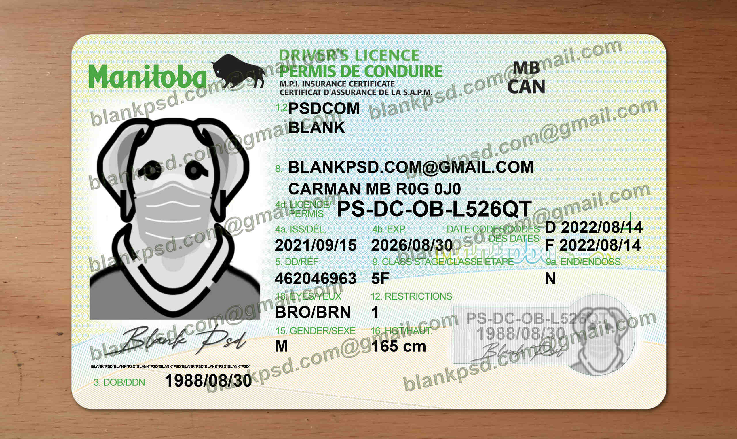 manitoba drivers license template