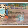Florida Driver License Psd New V1 6 florida driver license psd