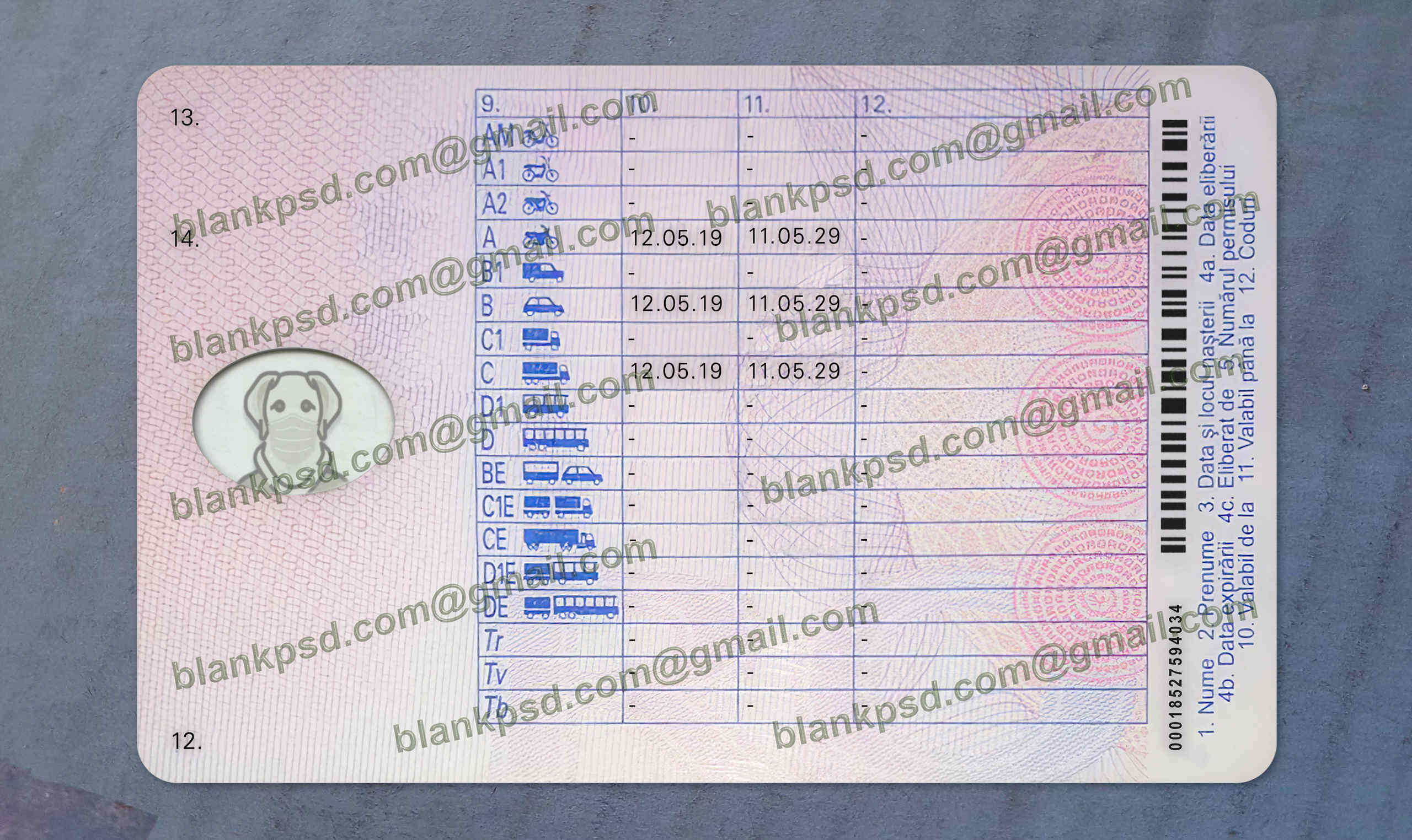 romania drivers license back romania drivers license back