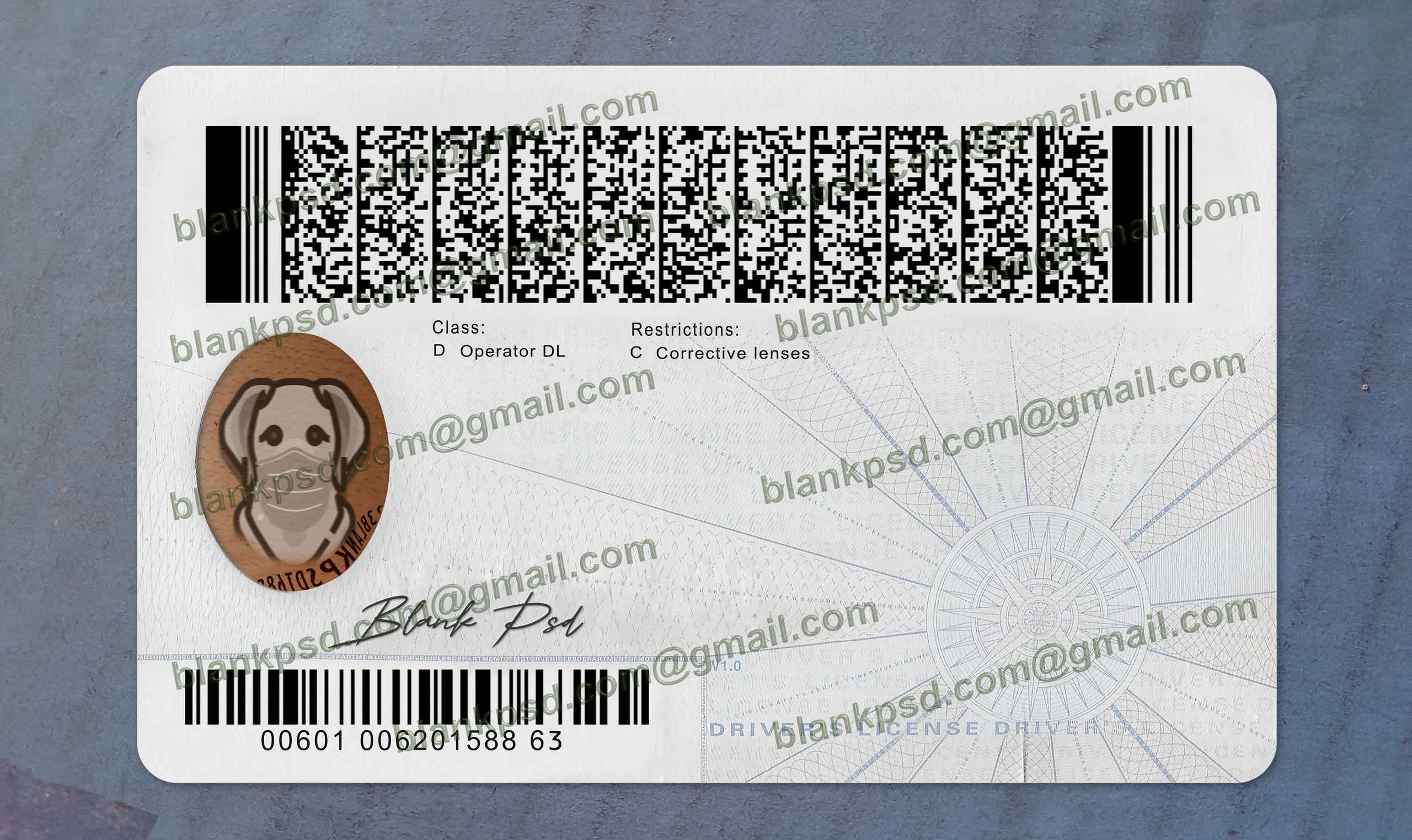 virginia driver license back virginia driver license back