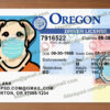 Fake Oregon ID Card V1 6 fake oregon id card