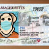 Massachusetts Drivers License Template New V2 8 massachusetts drivers license template