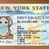 New York Drivers License Template V1 6 new york drivers license template